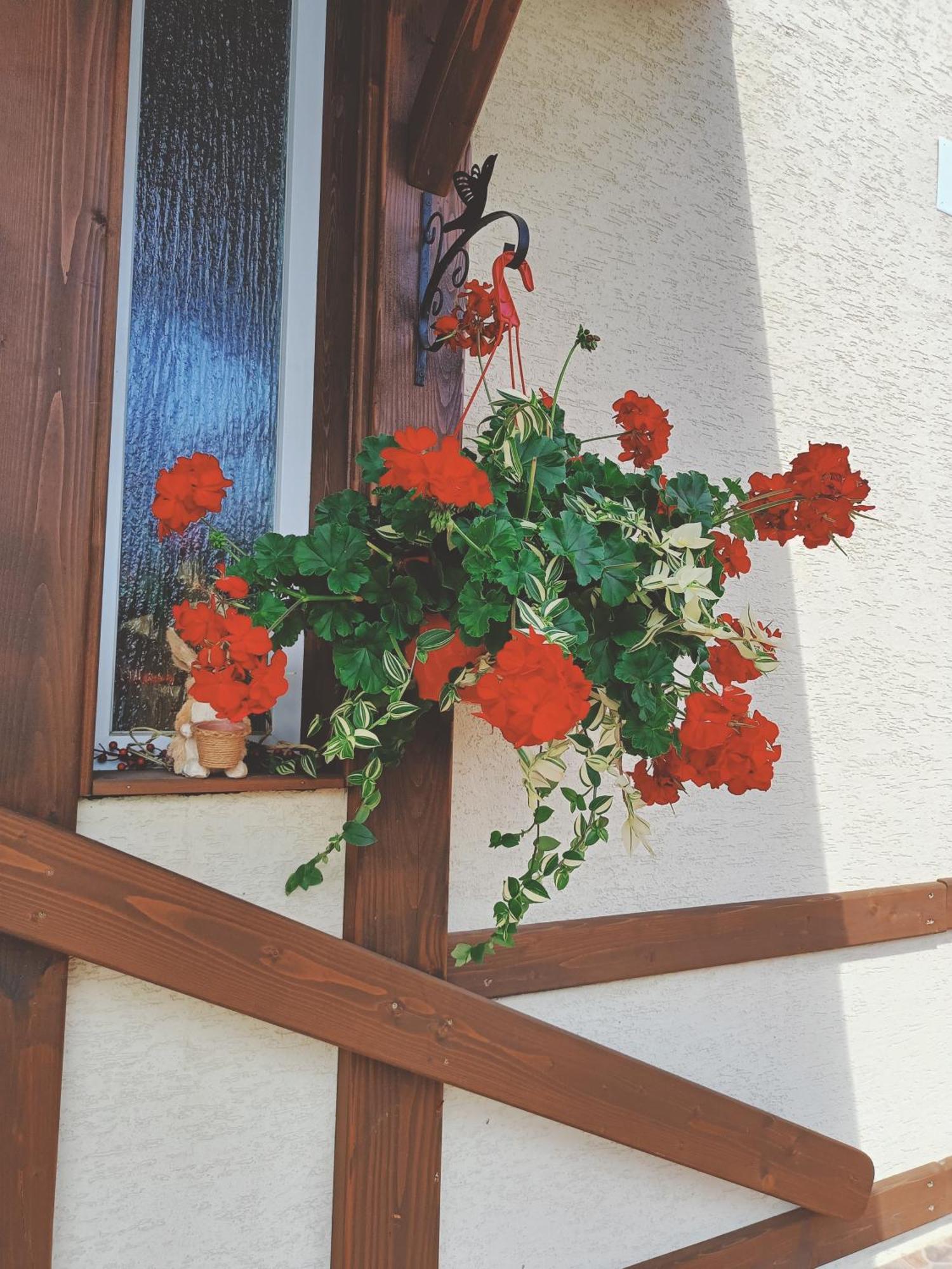 Residence Rooms Bucovina Кымпулунг-Молдовенеск Экстерьер фото