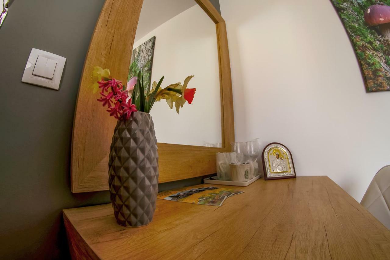 Residence Rooms Bucovina Кымпулунг-Молдовенеск Экстерьер фото